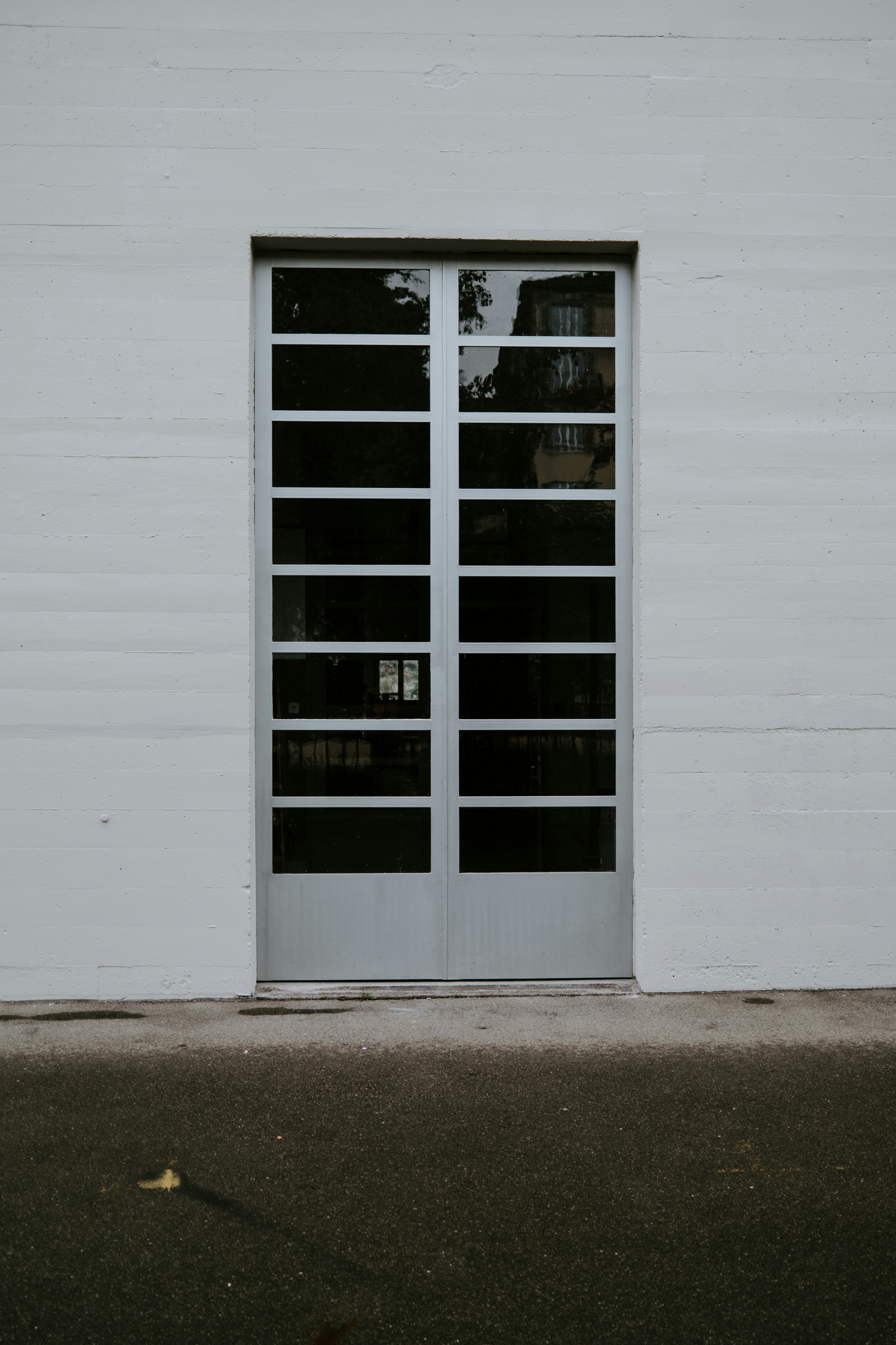 Frameless Doors